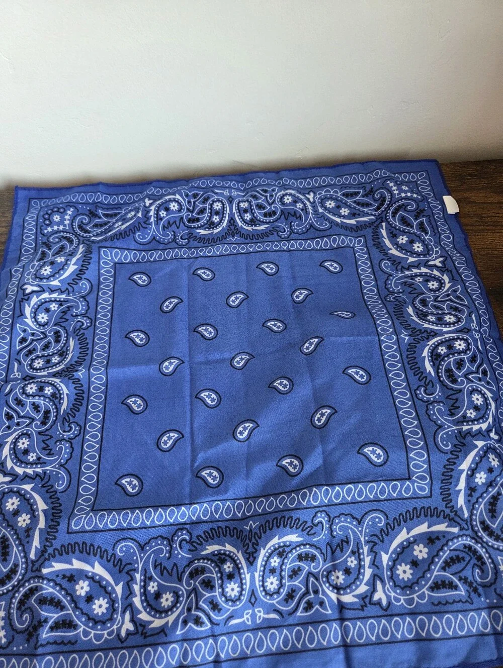 Set Of 2 Blue Bandanas Paisley Western Rodeo Cowgirl Southwestern Scarf Necktie